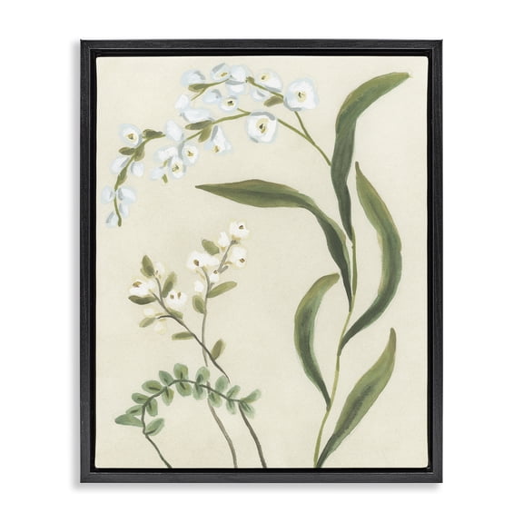 Stupell Industries French Country Neutral Snowdrop Stems Black Floating Frame Canvas Art, 17 x 21, by June Erica Vess