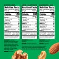 thumbnail image 3 of Emerald Nuts Variety Pack, 100 Calorie Almonds, Walnuts, Cashews, 18 Count, 3 of 10