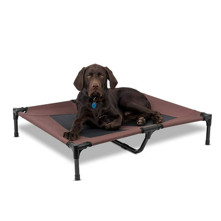 BIRDROCK HOME Internet's Best Dog Cot | 36 x 30 | Elevated Dog Bed | Cool Breathable Mesh | Indoor or Outdoor Use | Medium |