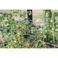thumbnail image 4 of Haxnicks  Tomato Crop Booster with Cover 40"W x 64"H x 20"D, 4 of 4