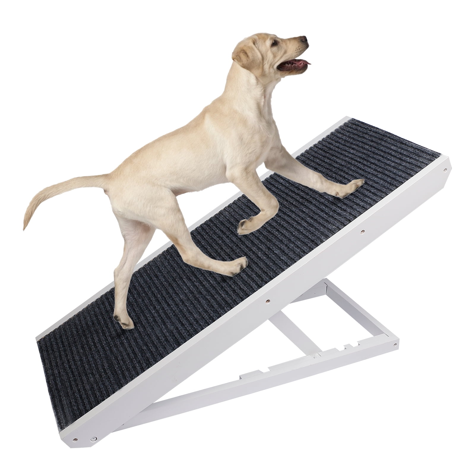 Are You Allowed A Dog In A Flat