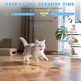thumbnail image 3 of Interactive   for Indoor (Sounds&Touch Control)   -Automatic Moving  Ball - Slow 2Speed with Feathers Tail&Lights for Kittens,Older Cats,Bored Cats,Ferret,, 3 of 7