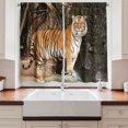 thumbnail image 2 of Ambesonne Tiger Kitchen Curtains, Alert Angry Royal Feline, 55"x39", Multicolor, 2 of 3