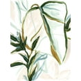thumbnail image 2 of Vess, June Erica 25x32 Black Ornate Wood Framed with Double Matting Museum Art Print Titled - Tropical Impromptu III, 2 of 4