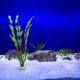 thumbnail image 3 of WRXMIJNHGSA Plantas acuáticas artificiales de algas para acuario, decoración de plantas de plástico para peceras, 3 of 3