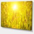 thumbnail image 2 of Yellow Grass Flower at Sunset - Landscape Canvas Art Print, 2 of 4