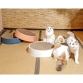 thumbnail image 2 of Cat Scratcher Corrugated Cat Scratcher Cardboard Durable Scratching Pad For Kitten Scratching Lounge Bed Board Recycle For Furniture Protection Cat Scratcher Bowl, 2 of 5