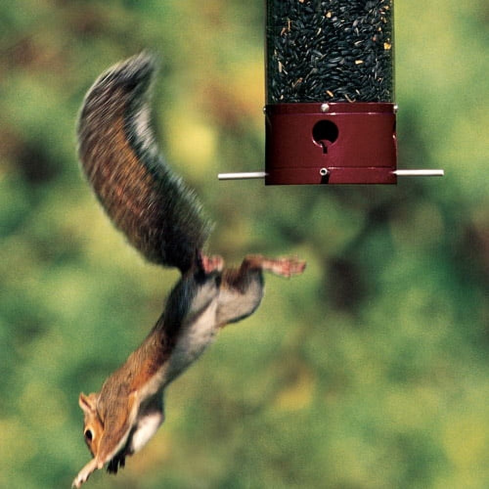 Droll Yankees Dipper Wild Bird 5 lb. Polycarbonate Tube Bird Feeder 4 ports