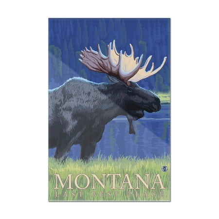 Montana, Last Best Place - Moose at Night - Lantern Press Artwork (8x12 Acrylic Wall Art Gallery
