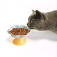 thumbnail image 6 of YWMJZEU Ceramic Raised Cat Bowls Food Feeding AntiSlip Water Bowl Puppy Bowls Cat Feeder Blue, 6 of 9