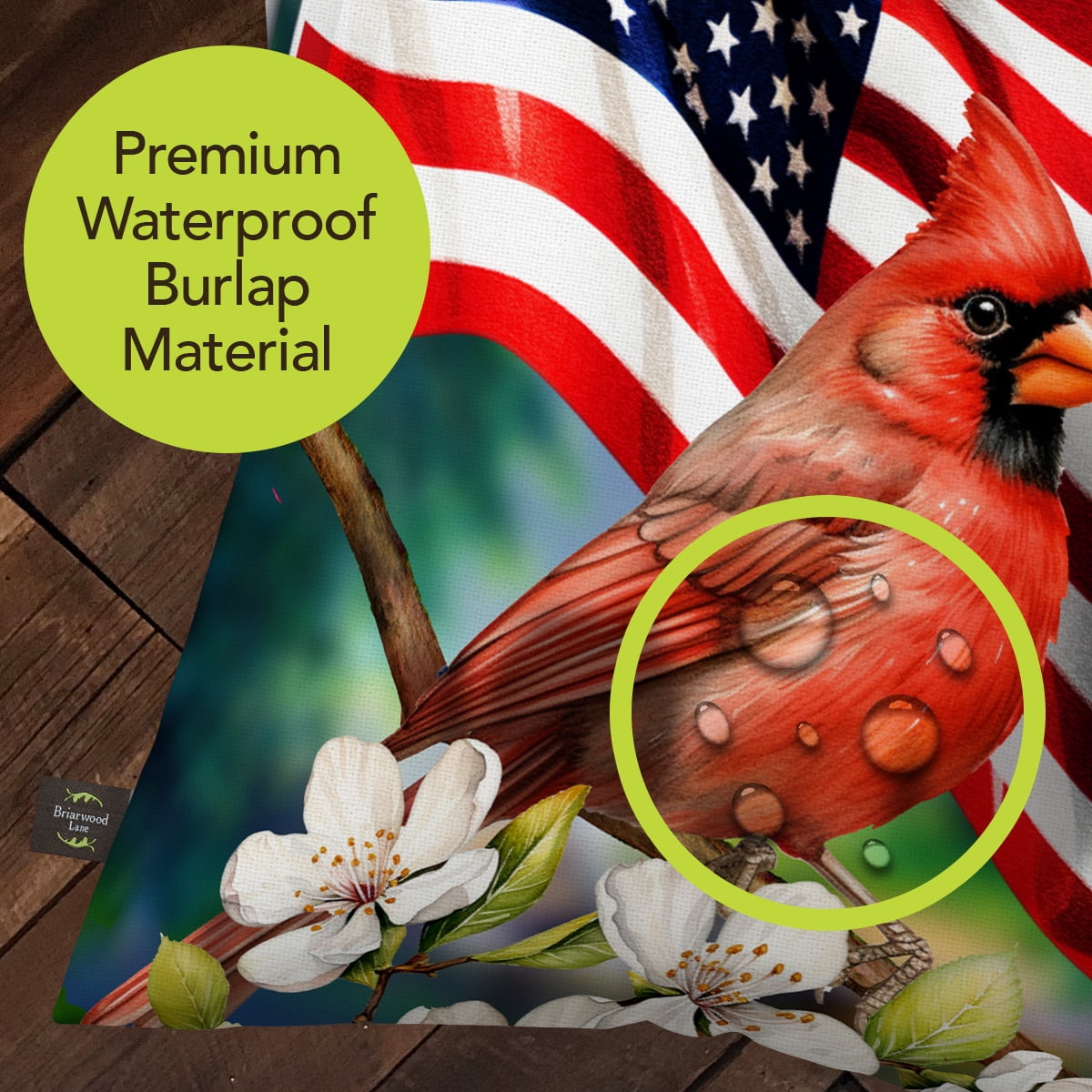 Briarwood Lane Spring Indoor/Outdoor Pillow 17x17 American Cardinal For Spring Pillow