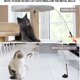 thumbnail image 2 of Feather Cat Toy, Cat Toy, Retractable Fishing Rod, Indoor Cat and Kitten Interaction, 2 of 3