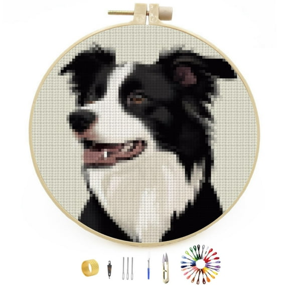 Border Collie Dog Stamped Cross Stitch Kits for Beginners with Hoop Simple Patterns 11CT Counted Embroidery Needlepoint Crafts Arts for DIY Enthusiasts and Home Decor 26x26cm