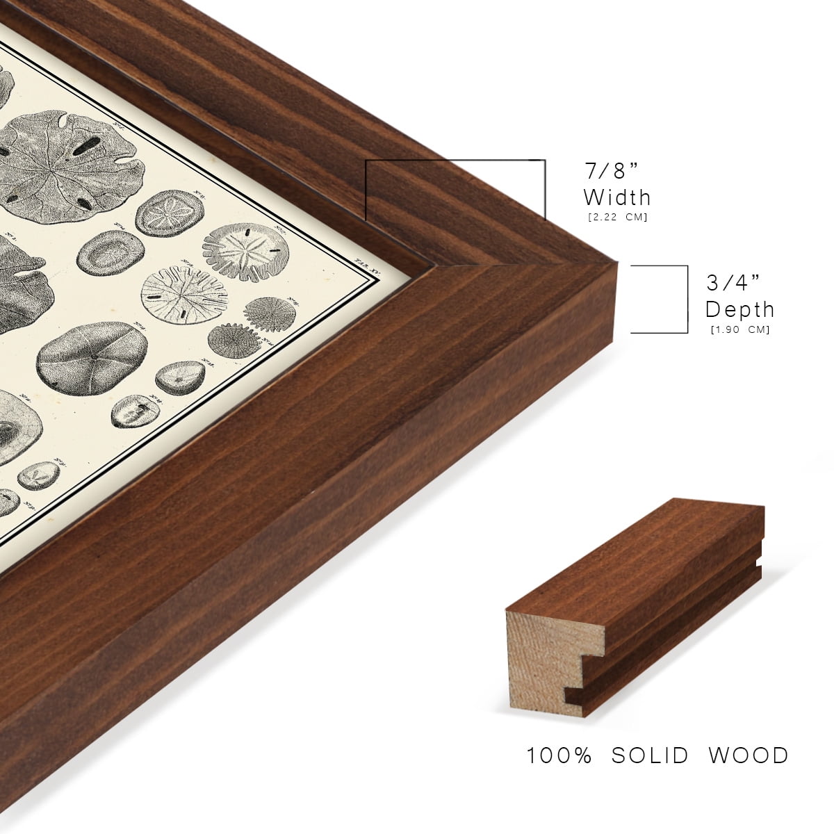 Aegean Collection II -Framed Print w/glass-Chestnut
