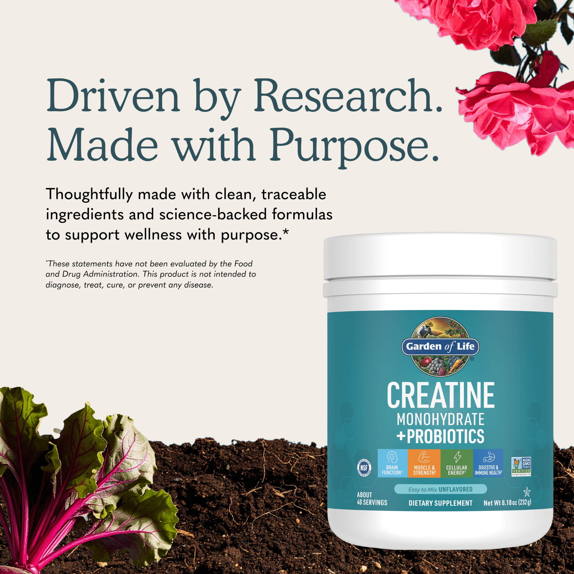 Garden of Life Creatine Monohydrate + Probiotics Non-GMO Gluten-Free Powder 8.1oz