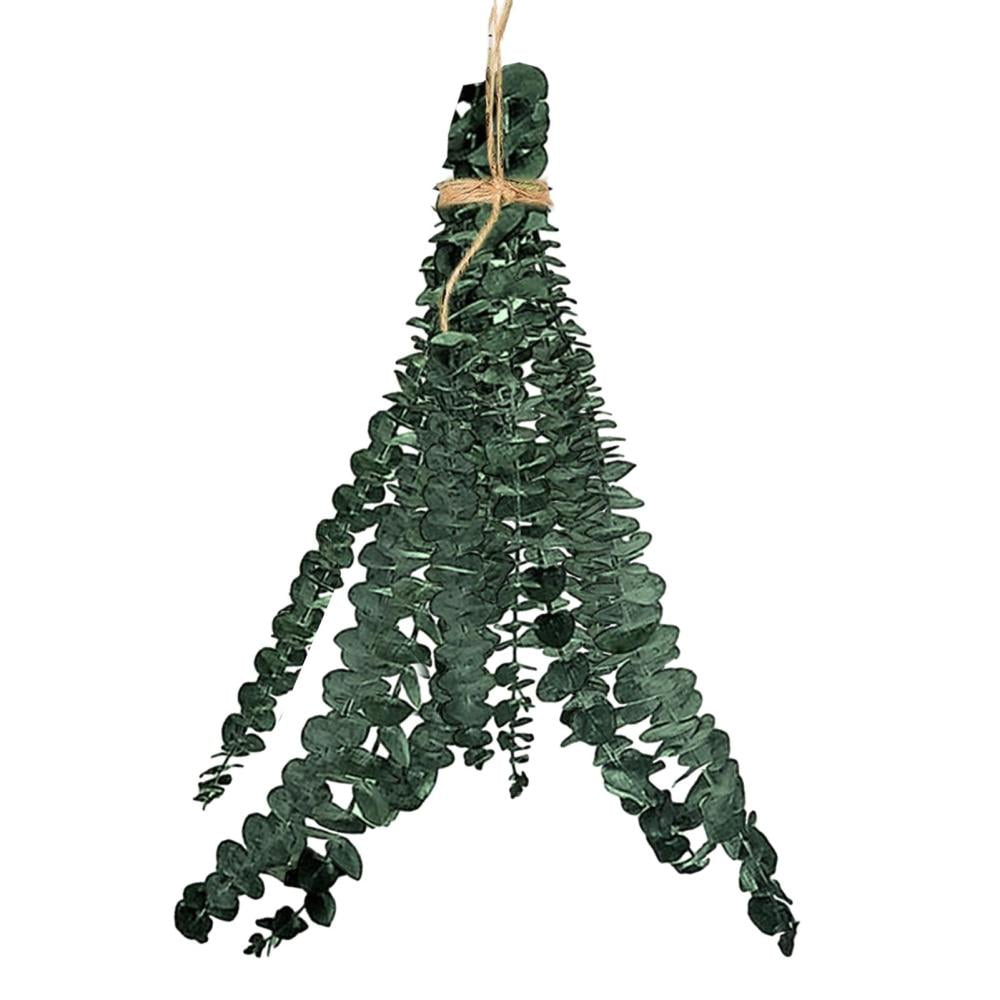 Shower Eucalyptus HangingNatural Eucalyptus Plant for Shower 10 PCS