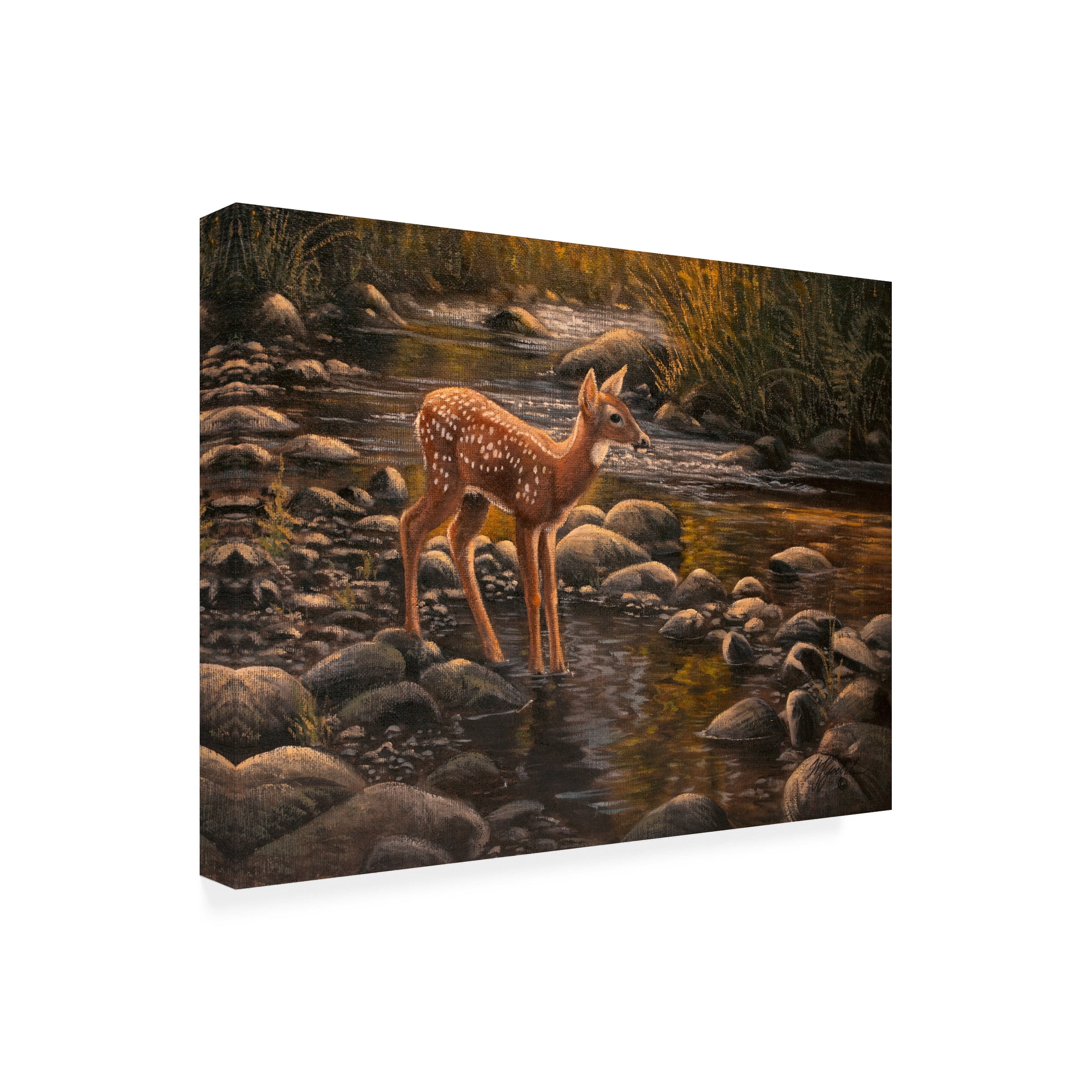 Wilhelm Goebel 'Waters Edge Fawn' Canvas Art