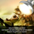 thumbnail image 4 of Paquete combinado de bombillas Reptile Heat Lamp REPTIZOO de 75 W para día y noche, 4 of 9