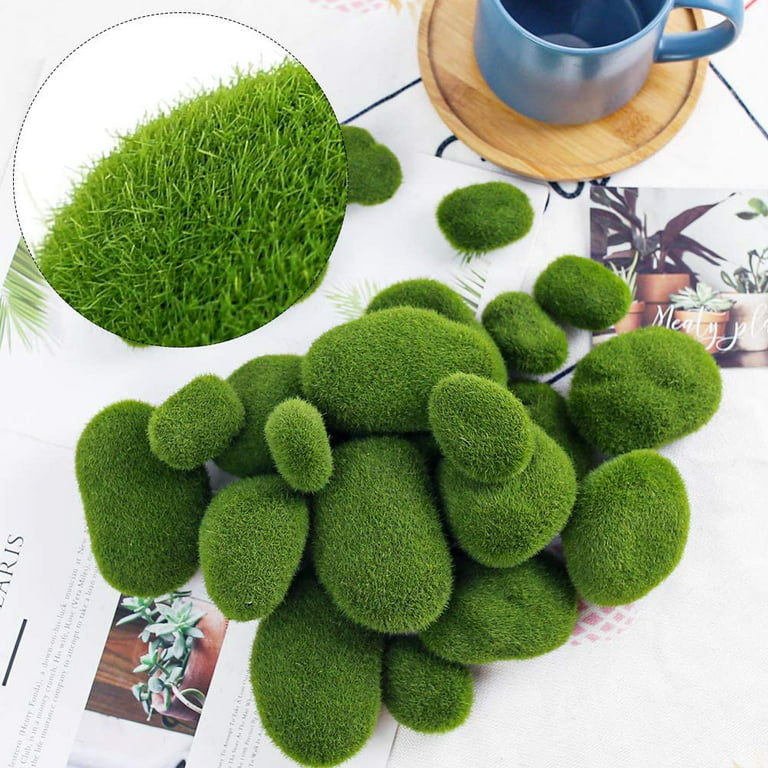 12 Pcs Artificial Moss Rock and 200 Gram Preserved Green Moss, Decorative  Faux Green Stones Assorted Size Fake Moss Balls 5 Colors Floral Moss for  Diary Garden DIY Craft Terrariums Potted Plants