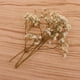 thumbnail image 4 of Flores Secas Prensadas con Millones de , Decoraciones Preservadas DIY para Joyería de Resina, Colgante Artesanal, Fabricació Macarena Flores secas prensadas naturales, 4 of 8
