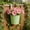 Green#15, variant on Hanging Metal Flower Pot with Detachable Hook, 6.3" Iron Wall Planter with Drainage Hole for Fence and Balcony, Colorful Indoor Outdoor Railing Bucket for Herbs and Plants, 1PC