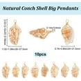 thumbnail image 4 of 1 caja de dijes de concha/vieira de cobre chapado en oro de 18 quilates, concha cauri natural, conchas marinas, conchas de playa, dijes colgantes, 4 of 9