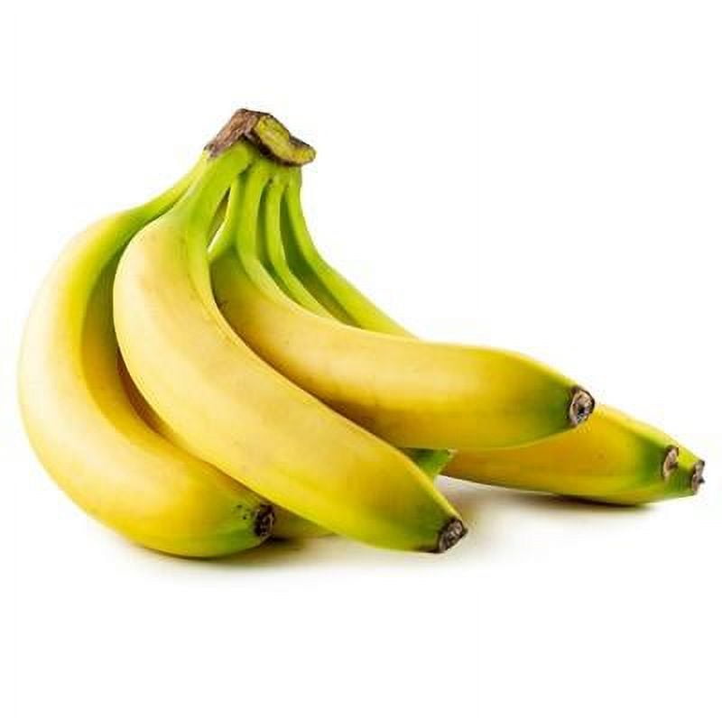 Natures Way Banana Keeper, Banana Holder