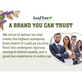 thumbnail image 3 of LeafLea 40 Premium Licorice Root Tea Bags, 100% Pure Licorice Spice , Herbal Infusion to Digestive Comfort, Te De Regaliz, Caffeine-Free, Sugar-Free, 3 of 17