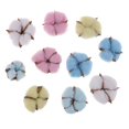 thumbnail image 4 of Cápsulas de algodón BLESIY 10 piezas flores secas Decoración, 4 of 8
