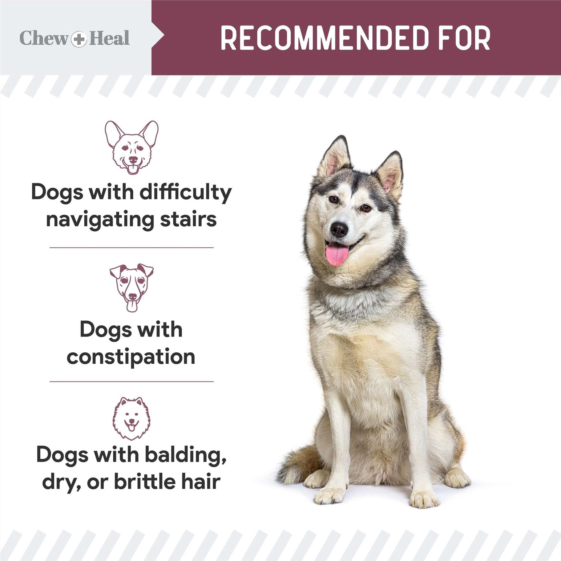 Chew + Heal Senior Dog 12-in-1 Multivitamin Soft Chews – Complete Daily Supplement for Joint, Skin, Digestive, and Immune Health – 120 Count