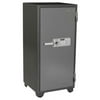 First Alert 5.91 cu. ft. Steel 2-Hour Fire and Anti-Theft Safe, 2702DF