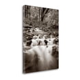 thumbnail image 2 of Tangletown Fine Art 'Wahkeena Creek' Photographic Print on Wrapped Canvas, 2 of 2