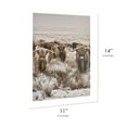 thumbnail image 7 of American Art Decor Highland Cow 11" x 14" 3-Piece Print Set, 7 of 7