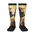 thumbnail image 2 of Picia Women Crew Soft Moisture-wicking Socks Romantic Flower Lion Couple Pattern Design Cotton Socks, One Size fit All, 2 of 9