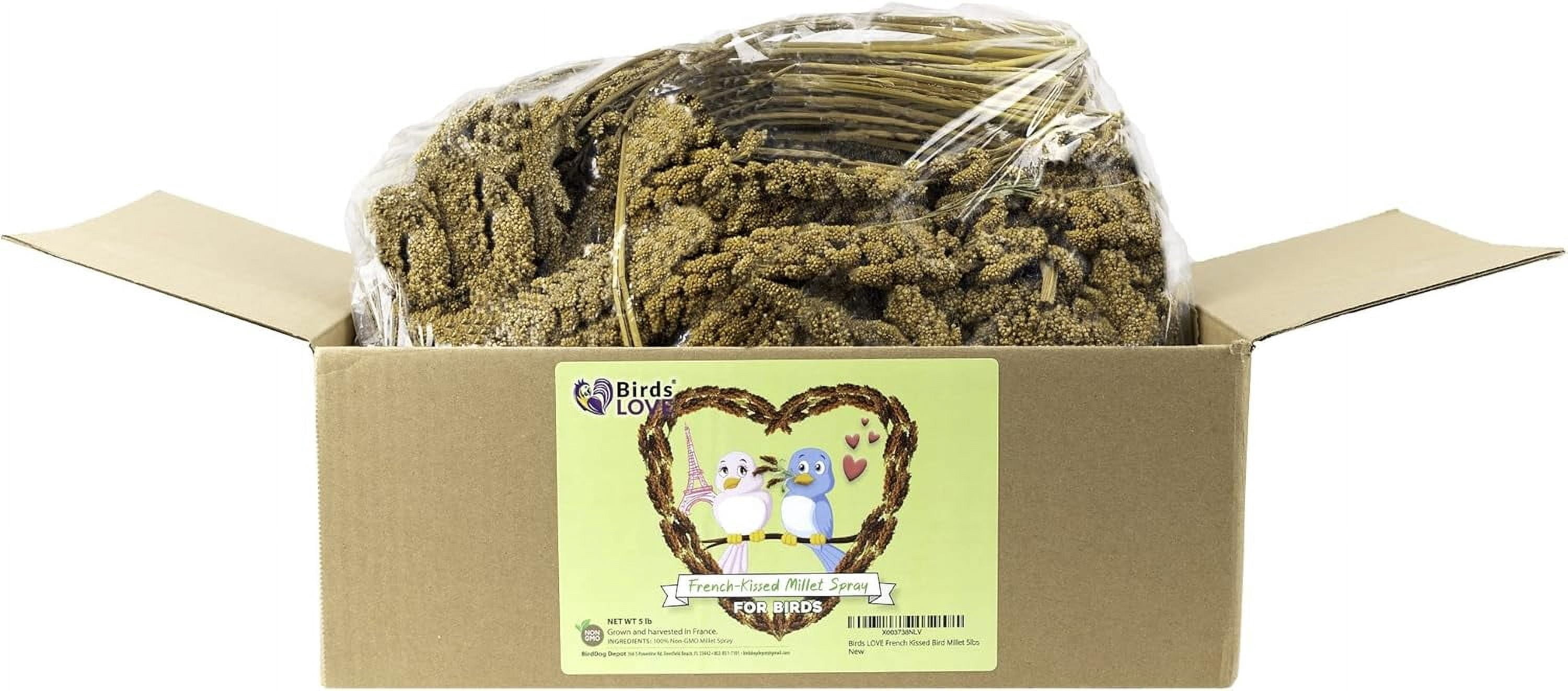 Birds LOVE French Kissed Spray Millet for Birds, USA Grown, 100% Natural Sun-Dried Millet Treat for Parakeets, Cockatiels, Conures & Budgies, Non GMO, 5 lb