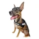 thumbnail image 1 of Arnes Para Perros Razas Grandes Personalizados Uso Rudo, 1 of 4