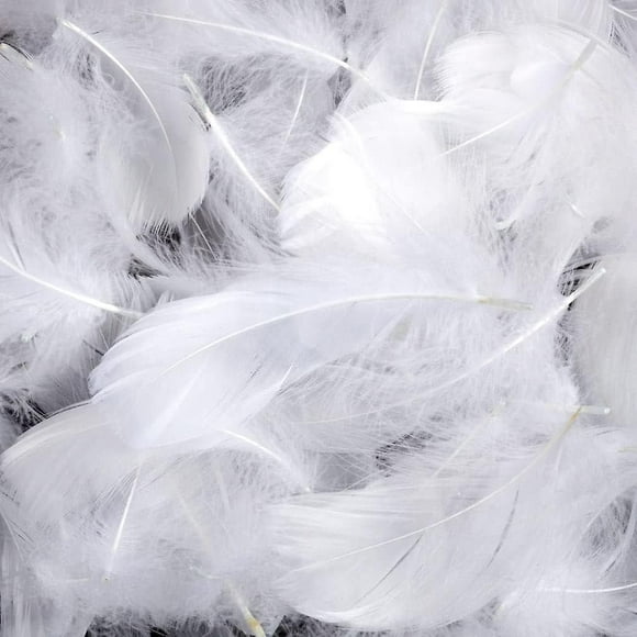 Pack of 600 Craft Feathers White Feathers for Crafts, Natural Feathers, White Feathers, for Dream Catchers, Weddings and Craft Projects
