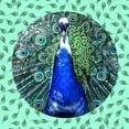 thumbnail image 3 of Phillip, Jamie 15x15 Black Modern Framed Museum Art Print Titled - Round Peacock 2, 3 of 5