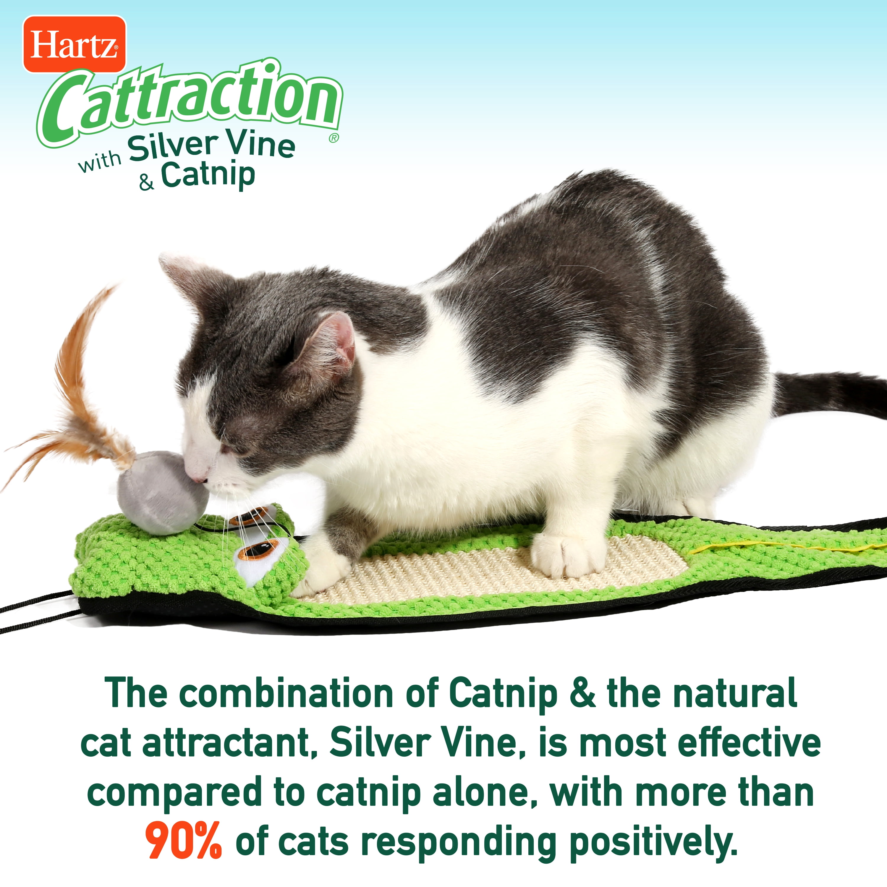 Hartz Cattraction Gator Scratch Cat Toy With Silver Vine And Catnip Color May Vary Walmart
