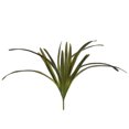 thumbnail image 1 of Vickerman 32 Pouces Feuilles d'Orchidée Vertes Buisson - FM180301, 1 of 3