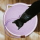 thumbnail image 4 of Almohadilla para gatos de 43 cm Resistente y sin descascarillarse Tablero para gatos Autocalentable Almohadilla para dormir integrada Cuerda tejida Almohadilla para gatos de verano, 4 of 6
