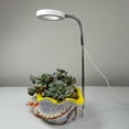 thumbnail image 4 of Ground-plugged Plant Light Timable Dimmable Angel Ring Full Spectrum Imitation Sunlight Succulent Pot Grow Light Fill Lights, 4 of 6