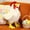 White, variant on Realistic Rooster Plush Large Stuffed Animal With Red Comb For Farm Themed Decor & Comfort(Black-20Cm)