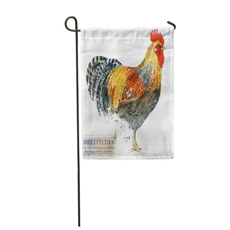 SIDONKU Bielefelder Rooster Poultry Farming Chicken Breeds Series Domestic Farm Bird Garden Flag Decorative Flag House Banner 12x18