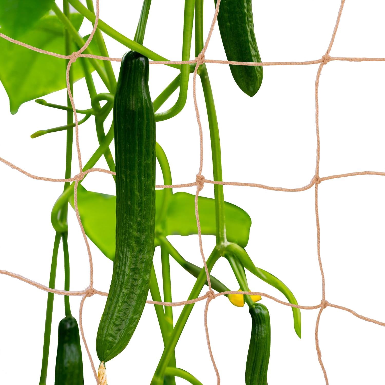 Yahome Jute Twine Trellis Netting Garden Trellis Netting for Climbing Plants, Plant Netting for Indoor/Outdoor Climb Plant, Grow Net for Vines, Fruits, Vegetables, Grapes, Beans, Peas (67 x 98 in)