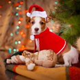 thumbnail image 5 of Gorro de Papá Noel ajustable para mascotas, capa, bufanda, disfraz de Navidad para cachorros, gatitos, gatos pequeños, perros y mascotas, 5 of 5
