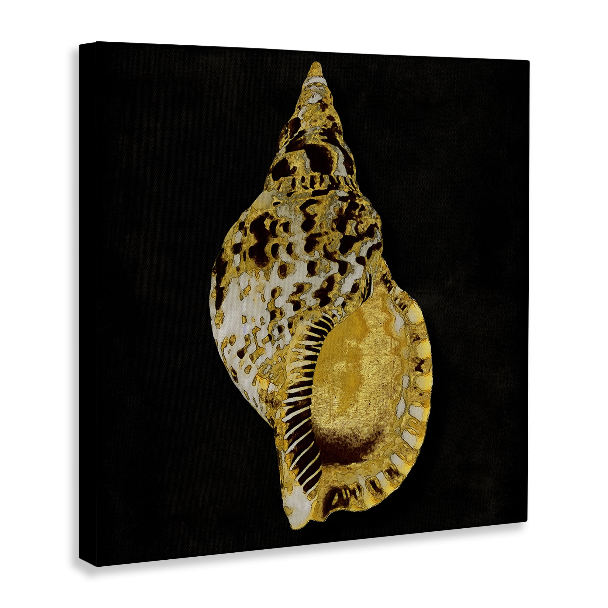 Stupell Industries Gold Conch on Black Nautical & Beach Painting Wrapped Canvas Art Print Wall Art, 36 x 36