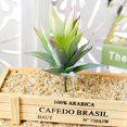 thumbnail image 1 of DIY Artificial Succulent Flocked Plant Fake Cactus Lotus Home Garden Decor, 1 of 1