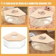 thumbnail image 3 of VERDANVERSE 1Pack Acrylic Hamster Sand Box designed for Bathing in Transparent Finish, 3 of 8