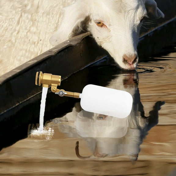 2Pcs Float Valve 1/2 inch Brass Float Ball Valve with Adjustable Arm Automatic Fill and Water Level Control for Water Trough Cattle Drinkers Dog Drinks